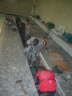 DSCN2567